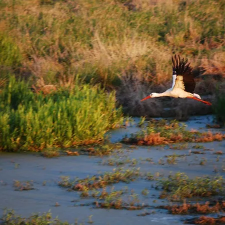 Daenholm Alte Schule Barlin Mecklenburg Pool