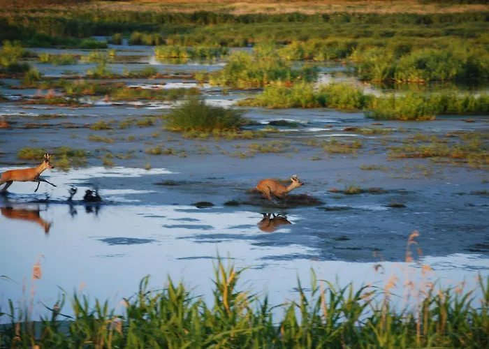 아파트 Daenholm Alte Schule Barlin Mecklenburg Pool *