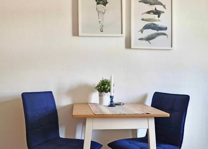 Daenholm Alte Schule Barlin Mecklenburg Pool 아파트 다르군